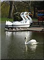 Boating lake, Castle Park, Colchester