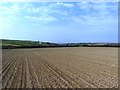 Fields near Trehemborne