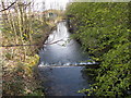 Oulton Beck - Farrer Lane 