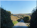 The Lane near Little Lanherne