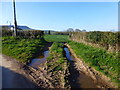 Field entrance north-west of Llanvapley