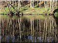 River Nidd