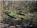 Bilton Beck