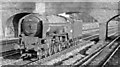 Peppercorn Pacific running down ECML at Wymondley near Hitchin, 1951