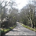 Road near Carnanton House