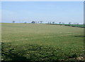 Farmland, Callerton Lane End