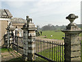 Gorillas at Freston Lodge