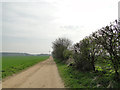 Track to Rence Park Farm