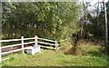 Cattle trough - Turner