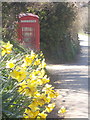 Powerstock: red and yellow on School Hill