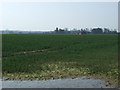 Crop field off the A696