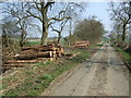 NZ0973 : Logs beside minor road by JThomas