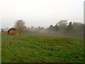 Upper Well Croft