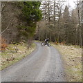 NY6393 : Cyclist waiting on a forest road, Kielder Forest by Rich Tea