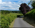 Hobro Lane descending towards Little Hobro