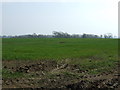 Farmland, Kirkley West Farm