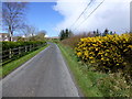 Backglen Road, Boheragh