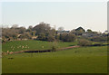 Hillside to the north of Porthcawl