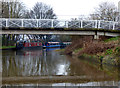 Trent and Mersey Canal:  footbridge No 199A