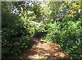 Path behind Ibworth Lane