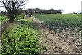 Footpath towards White