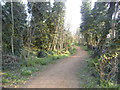 Path by the North Circular, Ealing