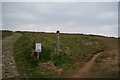 South West coast path at Pendarves Point