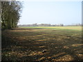 SP9106 : Farmland near Buckland Common by David Purchase
