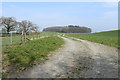 Track to Woodhead Plantation