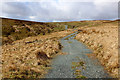 Shooting Track on Shackleton Moor