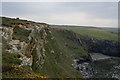 South West coast path at Beacon Cove