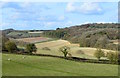 Chalk downland,  Faccombe, Hampshire