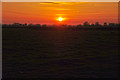 Sedgemoor : Grassy Field