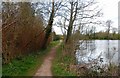 Footpath by the Stack Pool, Springfield Park, Kidderminster