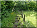 Muddy bridleway at Birch Wood