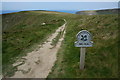 South West coast path at Bre Pen