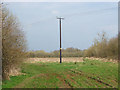 Electricity poles, Broadstreet Common