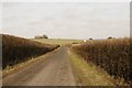 SU5129 : Towards Larkwhistle Farm by Bill Nicholls