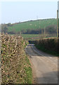 Zig-zag Lane and hillside grazing