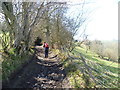 On the Llwybr Ceiriog Way in spring