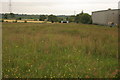 Bargeny Hill grassland