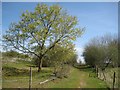 Colney Heath: Rerouted bridleway alongside Hatfield Quarry (1)