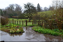 SD3795 : Very wet garden at Hill Top by David Martin