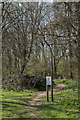 TL1511 : Pudlers Wood, Heartwood Forest, Sandridge, Hertfordshire by Christine Matthews