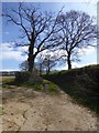 Stoneyhouse Lane, Sutton Barton