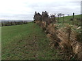 Muddy footpath at Roadhead