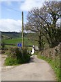 Road to the Offwell Brook from Rockerhayne Cross