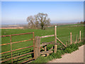 Footpath at Coney Hill Farm