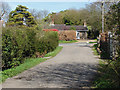 Footpath from Daws Dene