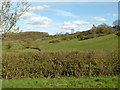 Scarp of the Wolds